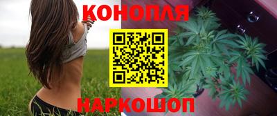 индика Будённовск