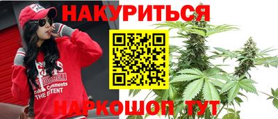 индика Будённовск