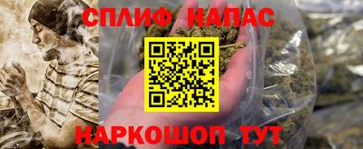 индика Будённовск