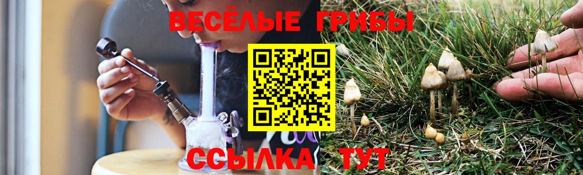 Псилоцибиновые грибы прущие грибы  Вход с VPN  Мурино 